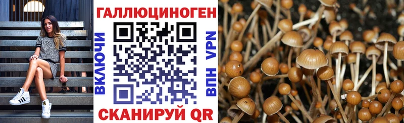 Псилоцибиновые грибы MAGIC MUSHROOMS  Шелехов 